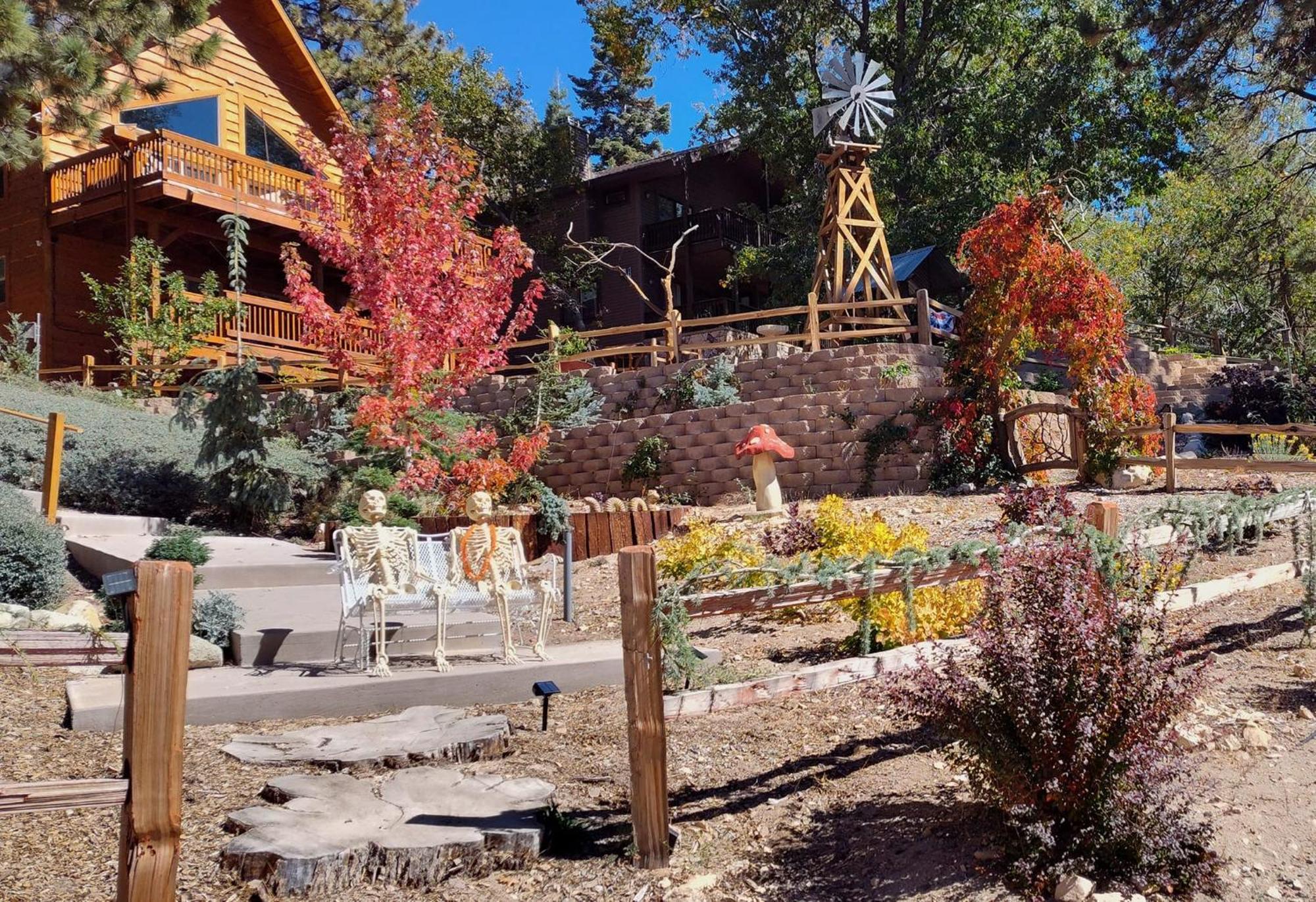 Snow Bunny Cottage, Pets Welcomed! Green Valley Lake Dış mekan fotoğraf