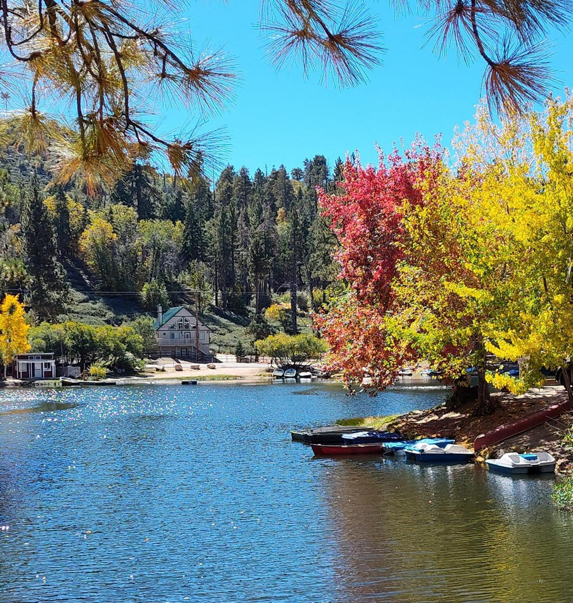 Snow Bunny Cottage, Pets Welcomed! Green Valley Lake Dış mekan fotoğraf